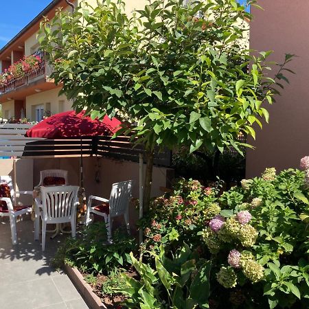 Kuca Eda Villa Pula Dış mekan fotoğraf